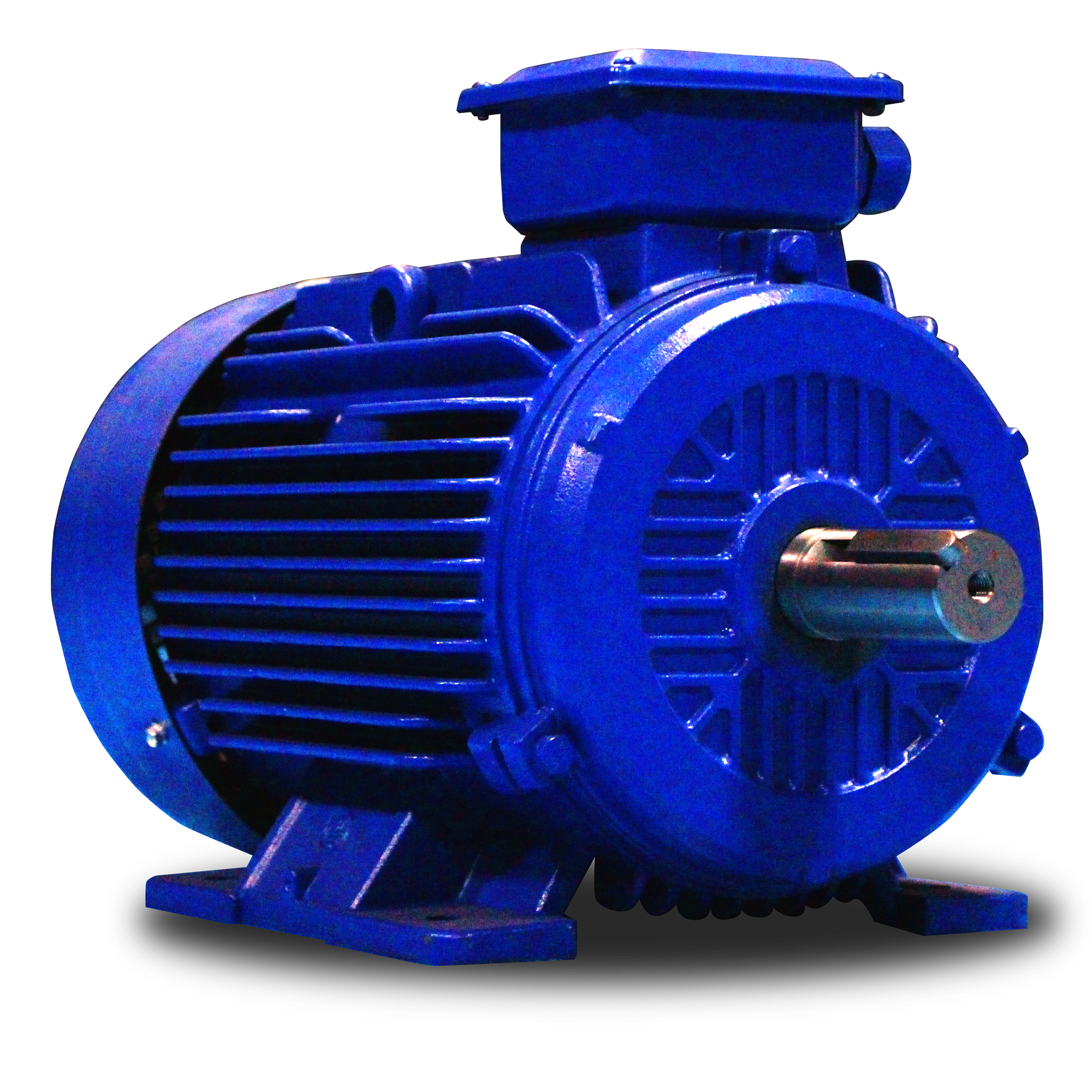 Motor síncrono de imanes permanentes trifásico de arranque asíncrono